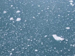 Glacier debris