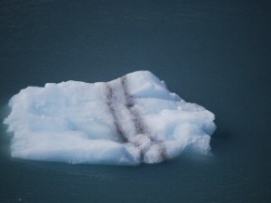 A chunk of glacier