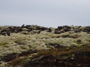 Black lava, green lichen